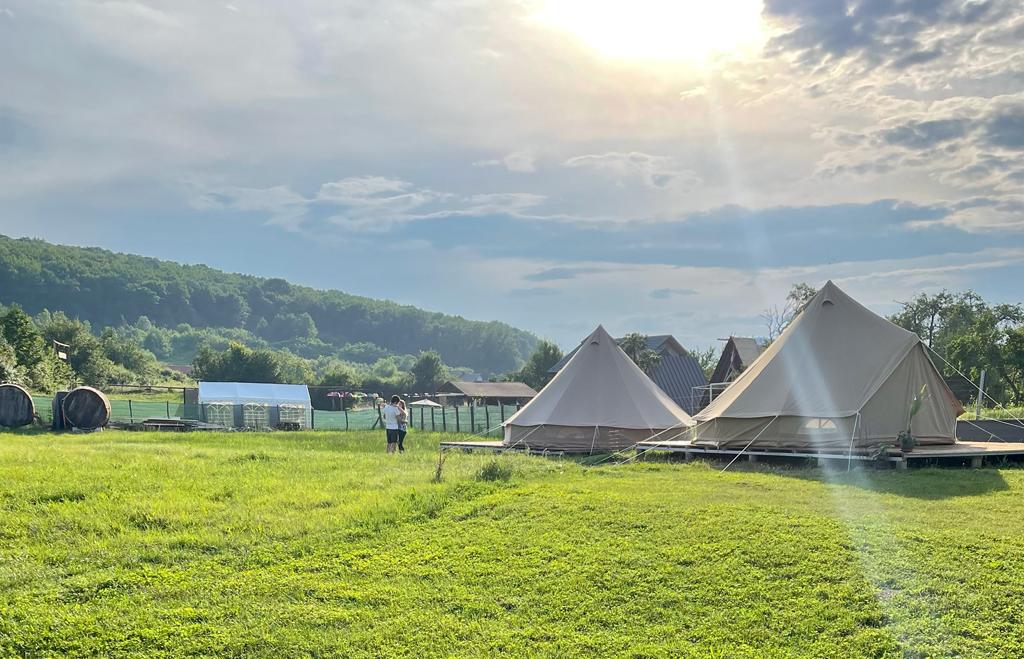 „Taina Vie”, cafeneaua din pădure, dedicată iubitorilor de natură