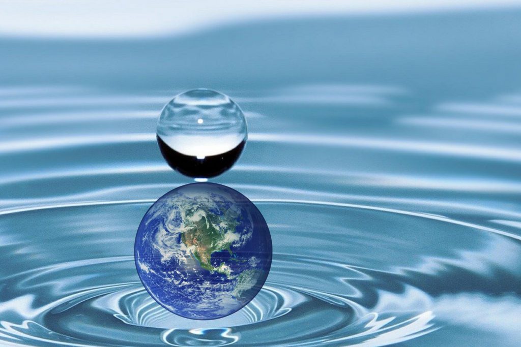 Acvamația, alternativă a încinerării considerată „mai ecologică”