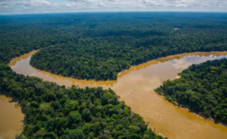 Piramide și așezări antice ascunse de mult timp, descoperite în regiunea îndepărtată a Amazonului