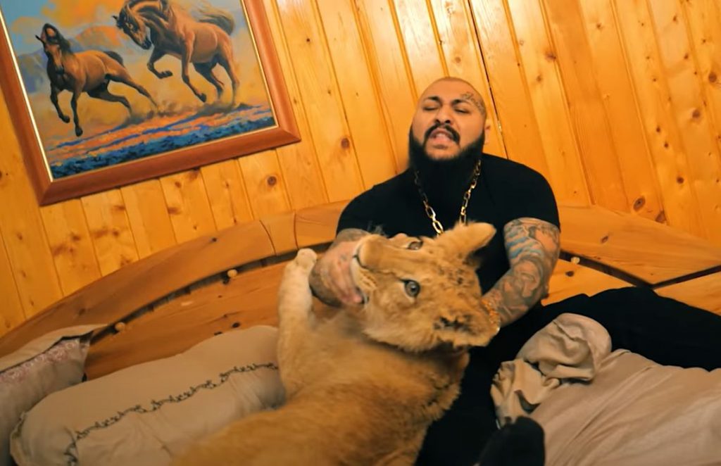 Dani Mocanu nu se dezminte. A lansat un nou videoclip în care apare alături de un leu
