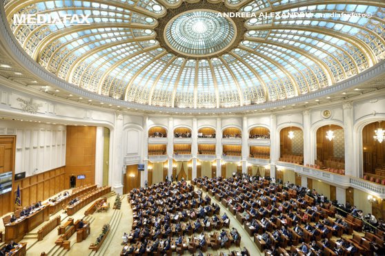 Forumul Parlamentar de Securitate și Informații se reunește la București