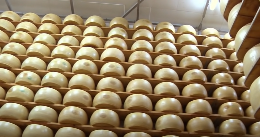 Căldurile extreme din Italia afectează producția faimoasei brânze de renume mondial, Parmigiano Reggiano