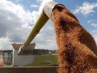 Porturile ucrainene au expediat în jur de 4,7 milioane de tone de produse agricole în cadrul acordului privind cerealele