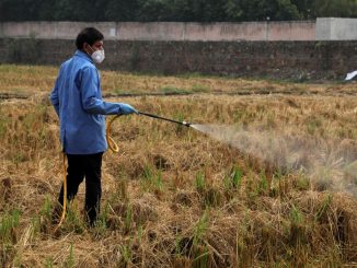 „Lobby-urile industriei chimice au câștigat”: Comisia Europeană îngroapă planurile de interzicere a substanțelor toxice pentru sănătate și mediu