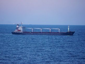 Rusia oprește exporturile de cereale din Marea Neagră ale Ucrainei, invocând atacul asupra Crimeei