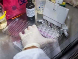 Un focar major de malarie în Etiopia a fost provocat de un țânțar asiatic