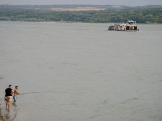 Poluare cu petrol pe Dunăre pe o lungime de 6 kilometri