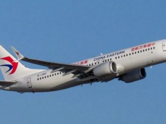 Compania aeriană de stat din Bolivia a apelat la un clarvăzător pentru a găsi pisica pierdută luna trecută