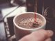Consumul a 3 cești de cafea pe zi poate dăuna rinichilor, spune un nou studiu