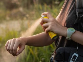 Ce animal ucide cei mai mulți oameni? Iată care este prădătorul neașteptat și cum să te protejezi