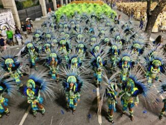 Liber la samba! Costume cu pene și care alegorice roz luminează parada carnavalului din Rio