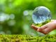Schimbările climatice riscă să coste Germania până la 900 de miliarde de euro până în 2050