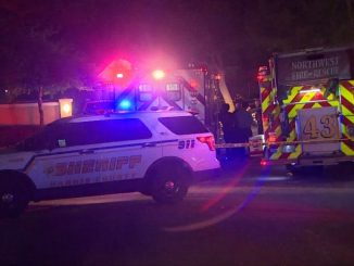 O fetiță de 3 ani și-a împușcat mortal sora de 4 ani cu o armă de foc nesecurizată, potrivit șerifului din Texas