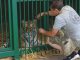 LIVE UPDATE. 373 zile de invazie rusă. Animale sălbatice salvate din război. Femeia care a apărat peste 600 de mamifere din Ucraina