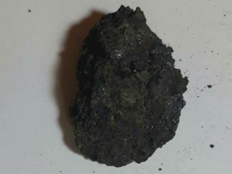 Găsirea mingii de foc: Un muzeu oferă o recompensă de 25.000 de dolari pentru o bucată de meteorit