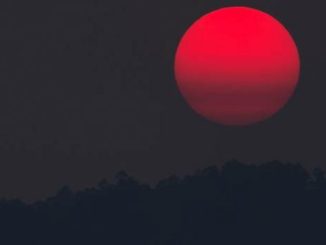 Fenomen rar: Luna căpșună va lumina cerul weekendul acesta