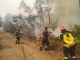 Cea mai intensă operațiune de evacuare din istoria Greciei. Pompierii români sunt solicitați să intervină pe insula Rodos