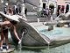 Italia se sufocă. Aproape toate marile orașe sunt în alertă roșie de caniculă