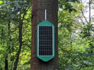 Dryad Networks folosește A.I. ca să detecteze incendiile de vegetație. Cum funcționează „nasurile electronice”