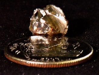O zi de naștere norocoasă: O fetiță a găsit un diamant de 2,95 carate într-un parc