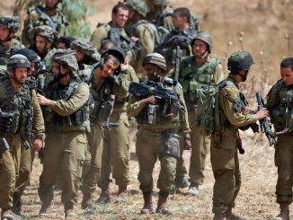 LIVE UPDATE. Război în Israel, ziua 208. Pentagonul declară că digul de ajutor pentru Gaza este pe jumătate finalizat