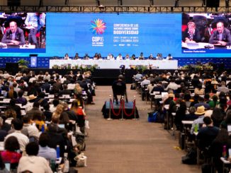 Summit-ul COP 16 a fost un semnal de alarmă pentru salvarea biodiversității