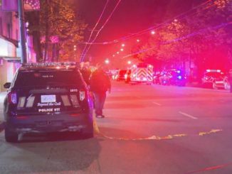 Tragedie la Festivalul Lapu Lapu din Vancouver. Nouă persoane au murit după ce un șofer a intrat cu mașina în mulțime