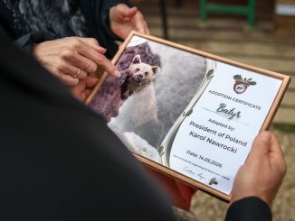 Președintele Poloniei a adoptat un urs în timpul vizitei în România pentru Summitul B9. „Faceți cunoștință cu Batyr”
